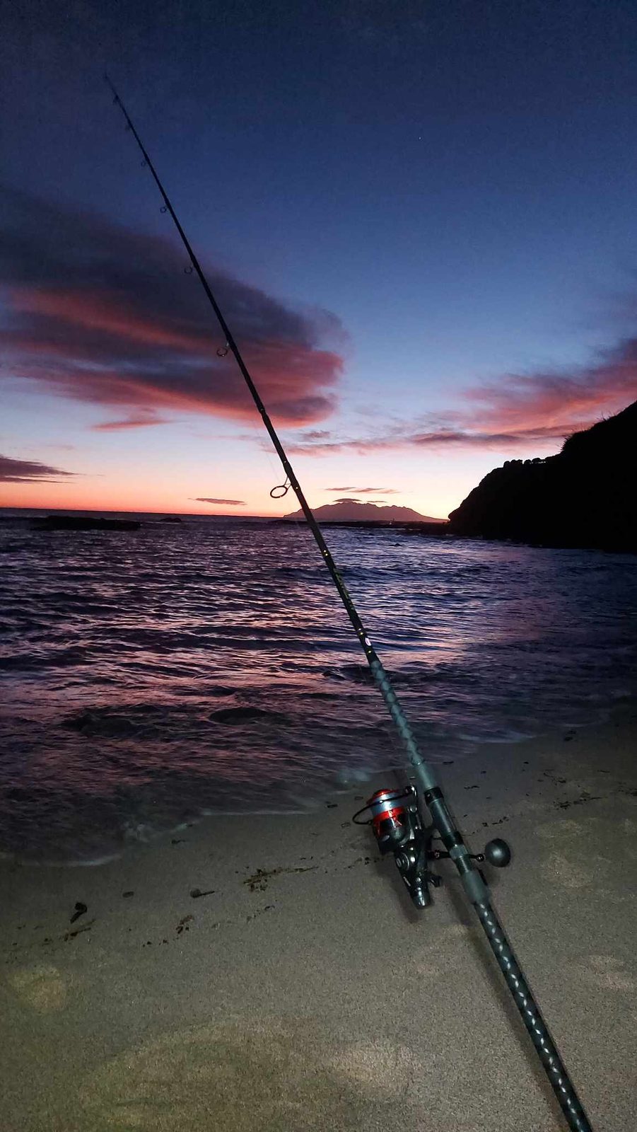Poenamo Fishing Club members and catches